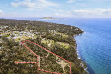 Farm Sold - TAS - White Beach - 7184 - Explore this exceptional seaside opportunity adjoining the Waterfront Reserve!  (Image 2)