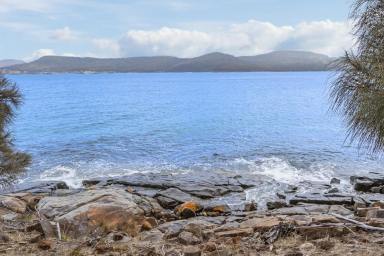 Farm Sold - TAS - White Beach - 7184 - Explore this exceptional seaside opportunity adjoining the Waterfront Reserve!  (Image 2)