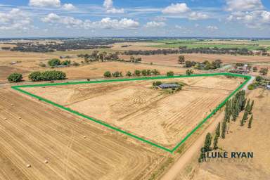 Farm Sold - VIC - Kotta - 3565 - RURAL LIVING WITH SO MUCH SPACE!!  (Image 2)