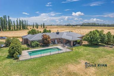 Farm Sold - VIC - Kotta - 3565 - RURAL LIVING WITH SO MUCH SPACE!!  (Image 2)