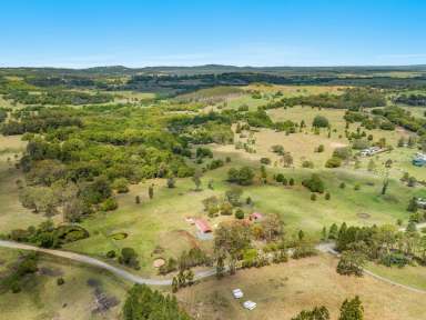 Farm Sold - NSW - Wyrallah - 2480 - Ideal Hobby Farm for the Growing Family  (Image 2)