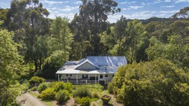 Farm For Sale - VIC - Main Ridge - 3928 - Serene Rural Oasis With Guest House  (Image 2)