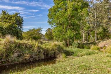 Farm Sold - NSW - Dungog - 2420 - Vacant 200 Acres with Entitlement  (Image 2)