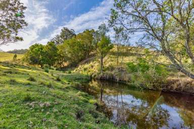 Farm Sold - NSW - Dungog - 2420 - Vacant 200 Acres with Entitlement  (Image 2)