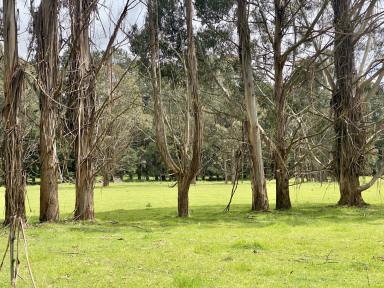 Farm For Sale - TAS - Elizabeth Town - 7304 - Fertile Red Soils Just 35 Minutes From The CBD  (Image 2)