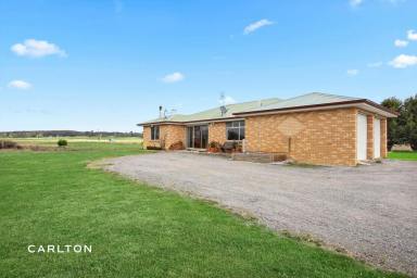 Farm For Sale - NSW - Avoca - 2577 - Live the Country Dream  (Image 2)