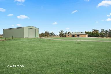 Farm For Sale - NSW - Avoca - 2577 - Live the Country Dream  (Image 2)