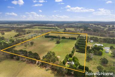 Farm For Sale - NSW - Bundanoon - 2578 - An Opportunity To Own A Wonderful Highlands Lifestyle & A Motivated Vendor To Help Create It.  (Image 2)