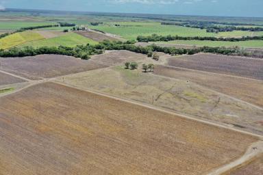 Farm For Sale - QLD - Shirbourne - 4809 - 317 Acre Cropping Property - House - Shed - Machinery - Water  (Image 2)