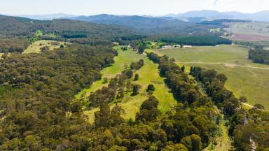 Farm For Sale - VIC - Shelley - 3701 - "The Getaway Block"  (Image 2)
