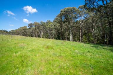 Farm For Sale - VIC - Shelley - 3701 - "The Getaway Block"  (Image 2)