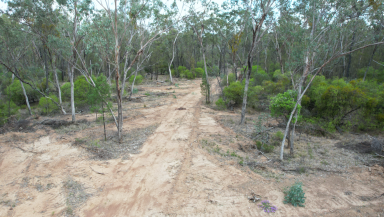 Farm For Sale - QLD - Canning Creek - 4357 - LEASEHOLD LIFESTYLE PROPERTY  (Image 2)