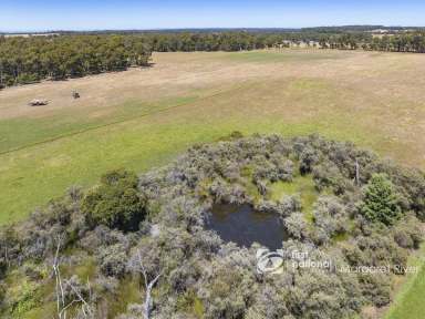 Farm Sold - WA - Osmington - 6285 - MAGICAL FARM WITH RIVER FRONTAGE  (Image 2)