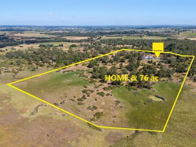 Farm For Sale - VIC - Pirron Yallock - 3249 - Private & Productive Family Retreat  (Image 2)