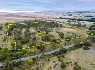 Farm For Sale - VIC - Pirron Yallock - 3249 - Private & Productive Family Retreat  (Image 2)