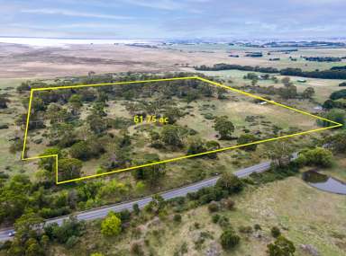 Farm For Sale - VIC - Pirron Yallock - 3249 - Private & Productive Family Retreat  (Image 2)