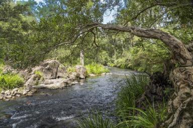 Farm Auction - NSW - Monkerai - 2415 - "Valley View " in the Enchanting Monkerai Valley  (Image 2)