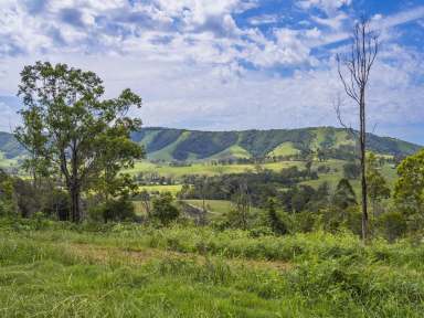 Farm For Sale - NSW - Monkerai - 2415 - Monkerai Valley Sanctuary with DA Approved 4-Bedroom Home Site  (Image 2)