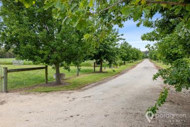 Farm For Sale - VIC - Foster - 3960 - NEW BUILD LIFESTYLE SO CLOSE TO TOWN  (Image 2)