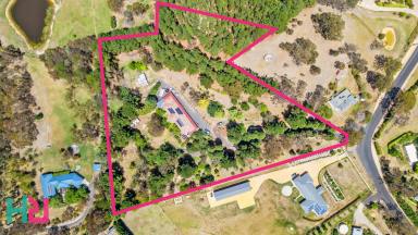 Farm For Sale - NSW - Little Hartley - 2790 - PEACEFUL COUNTRY RETREAT  (Image 2)
