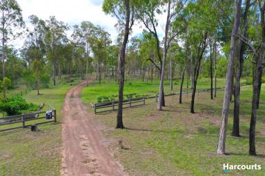 Farm Sold - QLD - Eureka - 4660 - OFF GRID LIVING ON A QUIET 103 ACRES  (Image 2)