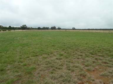 Farm For Sale - VIC - Charlton - 3525 - Residential block Northern Victoria  (Image 2)