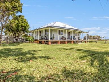 Farm For Sale - NSW - Jerseyville - 2431 - Peaceful Living on 4,721 sqm With River Views!  (Image 2)