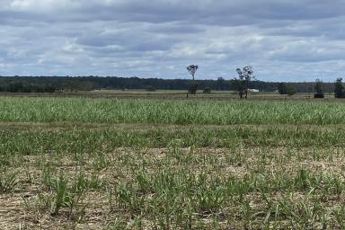 Farm Sold - NSW - Lawrence - 2460 - Exclusive Agricultural Opportunity  (Image 2)