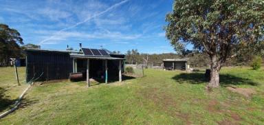 Farm Sold - NSW - Delegate - 2633 - 112 Acres at Balgownie Road  (Image 2)