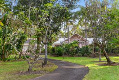 Farm Sold - QLD - Doonan - 4562 - Unleash Your Imagination and Bring This Fairy-Tale Property to Life  (Image 2)