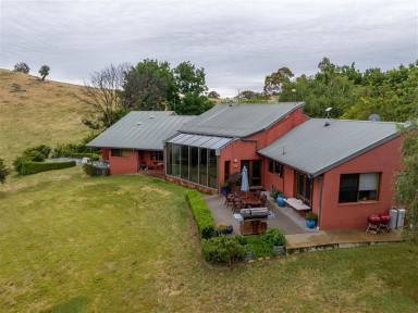Farm For Sale - NSW - Tumut - 2720 - True Countryside Retreat with River Frontage  (Image 2)