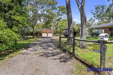 Farm Sold - NSW - Medowie - 2318 - SPACE & PRIVACY ON ACREAGE IN THE HEART OF MEDOWIE  (Image 2)
