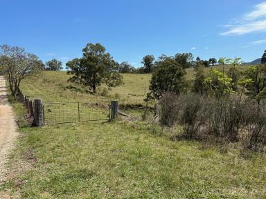 Farm Sold - NSW - Singleton - 2330 - Reedy Creek Acreage  (Image 2)