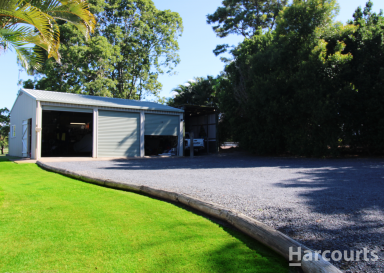 Farm For Sale - QLD - Booral - 4655 - Acreage Living in Peaceful Booral  (Image 2)