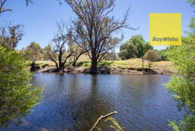 Farm For Sale - WA - Nannup - 6275 - 8 acres with Blackwood River frontage  (Image 2)