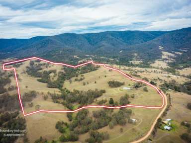 Farm Sold - NSW - Bemboka - 2550 - LUXURIOUS RURAL RETREAT  (Image 2)