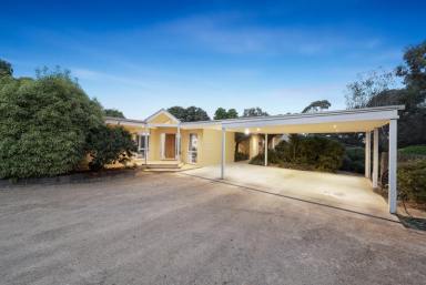 Farm For Sale - VIC - Langwarrin South - 3911 - Private Inspection Only  (Image 2)