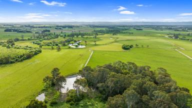 Farm For Sale - VIC - Heyfield - 3858 - Kirimi Farms, M.I.D Dairy Operation  (Image 2)
