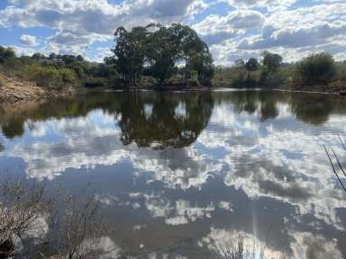 Farm Sold - QLD - South Nanango - 4615 - Livestock and Lifestyle Block  (Image 2)