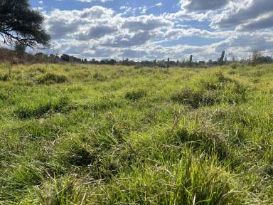 Farm Sold - QLD - South Nanango - 4615 - Livestock and Lifestyle Block  (Image 2)