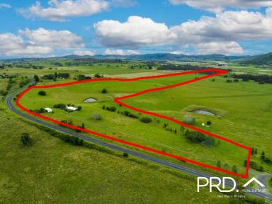 Farm For Sale - NSW - McKees Hill - 2480 - Beautiful McKees Hill Farm  (Image 2)