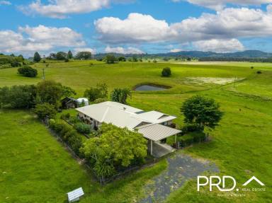 Farm For Sale - NSW - McKees Hill - 2480 - Beautiful McKees Hill Farm  (Image 2)