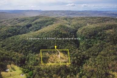 Farm Sold - NSW - Seaham - 2324 - For the Nature Lover!  (Image 2)