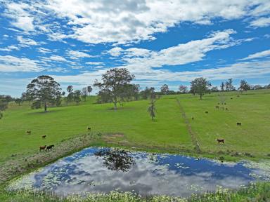 Farm For Sale - NSW - Hillville - 2430 - All the bells and whistles. Open For Inspection 27th April 2024
12 - 12:30pm Call To Confirm.  (Image 2)