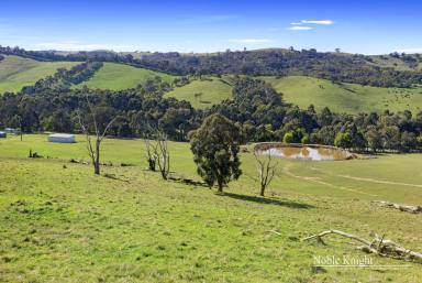 Farm For Sale - VIC - Glenburn - 3717 - A Blank Canvas in Glenburn - Your 33.5 Acre (approx.) Dream Awaits!  (Image 2)