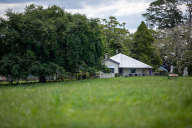 Farm Sold - NSW - Dorrigo - 2453 - High Performance Beef, 1,800*mm Rainfall, Picturesque, Excellent Infrastructure  (Image 2)