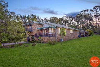 Farm For Sale - NSW - Bolwarra Heights - 2320 - Perfect Blend of Country-style Living and Modern Convenience  (Image 2)
