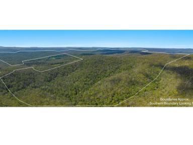 Farm For Sale - NSW - New Italy - 2472 - A Sizeable Holding  (Image 2)