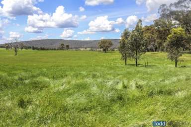 Farm Sold - VIC - Tooborac - 3522 - "CRYSTAL HILL" - 102 ACRES  (Image 2)