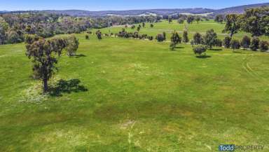 Farm Sold - VIC - Tooborac - 3522 - "CRYSTAL HILL" - 102 ACRES  (Image 2)